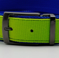 Skinalp pasek acid green&amp;electric blue 2 skialpinizm.png