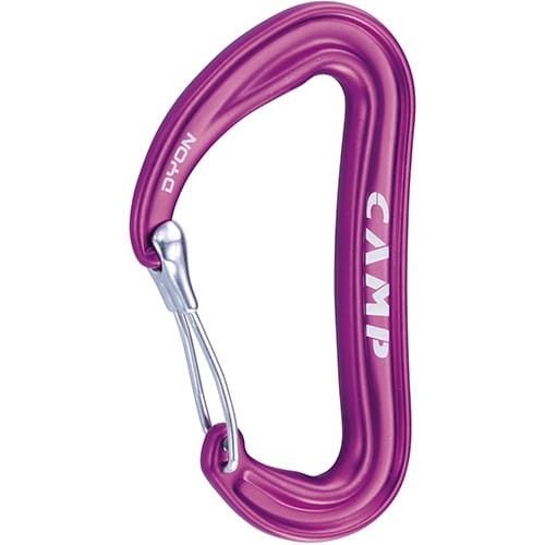 camp dyon purple.jpg