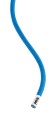 rumba3.jpg