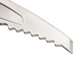 glacier literide2.jpg