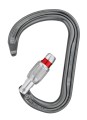 william screw lock3.jpg